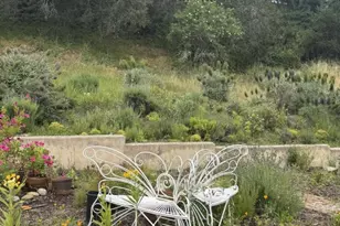 3960 Ballantree Ln, Aromas, CA 95004 - Photo 15