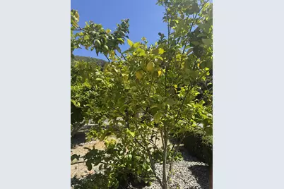 3960 Ballantree Ln, Aromas, CA 95004 - Photo 47