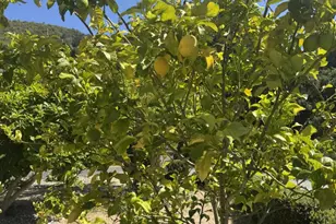 3960 Ballantree Ln, Aromas, CA 95004 - Photo 47