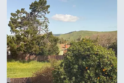 1803 Marabu Way, Fremont, CA 94539 - Photo 31