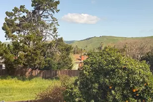 1803 Marabu Way, Fremont, CA 94539 - Photo 31