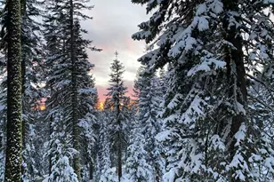 20625 US Hwy 50, South Lake Tahoe, CA 96150 - Photo 29