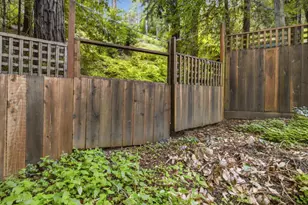 345 McGaffigan Mill Rd, Boulder Creek, CA 95006 - Photo 31