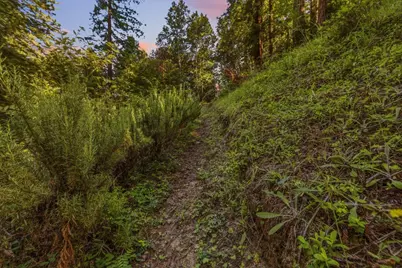 345 McGaffigan Mill Rd, Boulder Creek, CA 95006 - Photo 41