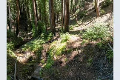 Lot 17 Branson Rnch, Boulder Creek, CA 95006 - Photo 25