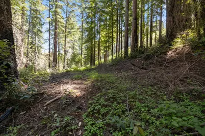 Lot 17 Branson Rnch, Boulder Creek, CA 95006 - Photo 11
