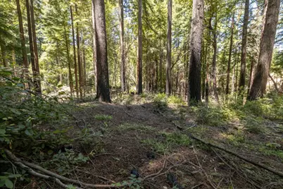 Lot 17 Branson Rnch, Boulder Creek, CA 95006 - Photo 13