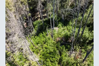 Lot 17 Branson Rnch, Boulder Creek, CA 95006 - Photo 41
