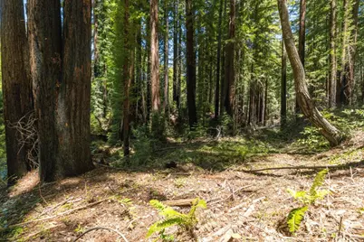 Lot 17 Branson Rnch, Boulder Creek, CA 95006 - Photo 9