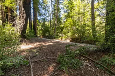 Lot 17 Branson Rnch, Boulder Creek, CA 95006 - Photo 5