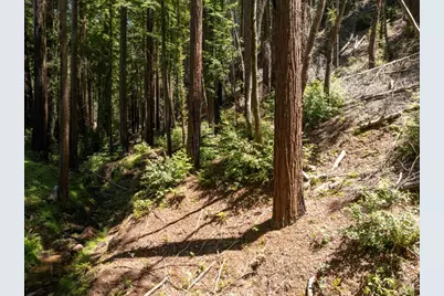 Lot 17 Branson Rnch, Boulder Creek, CA 95006 - Photo 23
