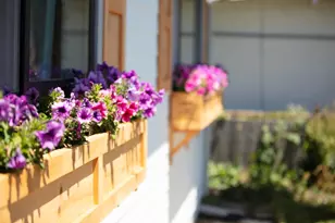 1465 Dougmar Dr, Santa Cruz, CA 95062 - Photo 3