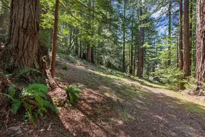 0000 Native Sons Rd, Woodside, CA 94062 - Photo 11