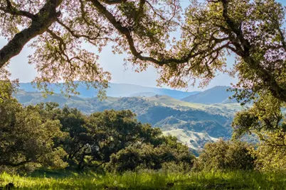 52 Chamisal Pass (Lot 136), Carmel, CA 93923 - Photo 5