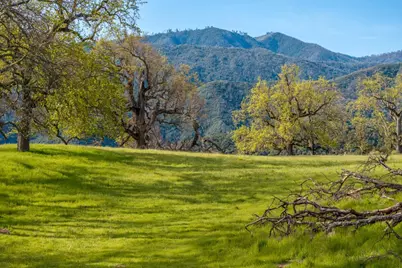 14 Long Ridge Trail (Lot 232), Carmel, CA 93923 - Photo 3