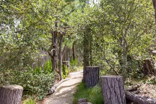 3 Forest Rise Pl, Monterey, CA 93940 - Photo 63