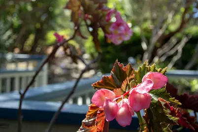 1430 Hidden Valley Rd, Soquel, CA 95073 - Photo 37