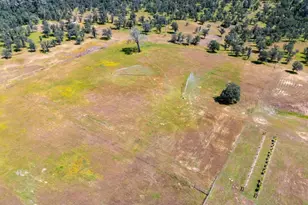 17962 Coyote Ln, Anderson, CA 96007 - Photo 87