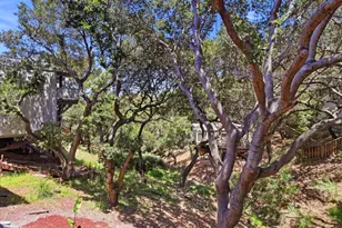 1255 North Rd, Belmont, CA 94002 - Photo 39