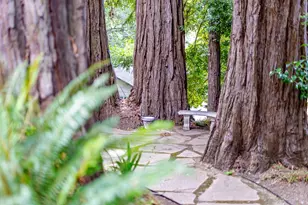 106 Hidden Dr, Scotts Valley, CA 95066 - Photo 37