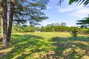 15880 Soda Springs Rd, Los Gatos, CA 95033 - Photo 37