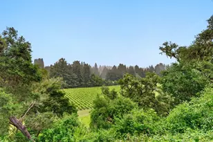 348 Spyglass Way, Aptos, CA 95003 - Photo 47