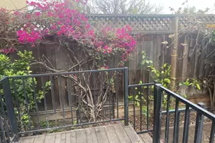 1411 Serena Ct 1411, San Jose, CA 95126 - Photo 19
