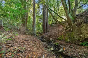 24106 Deer Path Rd, Saratoga, CA 95070 - Photo 67