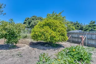 206 Cornwall St, Salinas, CA 93906 - Photo 27