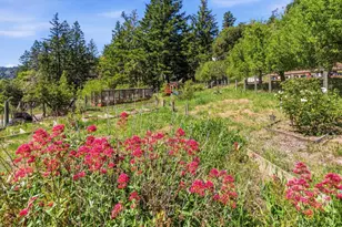 20074 Beatty Ridge Rd, Los Gatos, CA 95033 - Photo 27