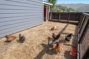 908 Corona Dr, Pacifica, CA 94044 - Photo 65