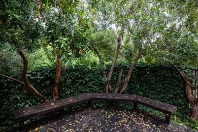 706 Tolman Dr, Stanford, CA 94305 - Photo 21