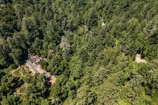 8946 Alpine Rd, La Honda, CA 94020 - Photo 37