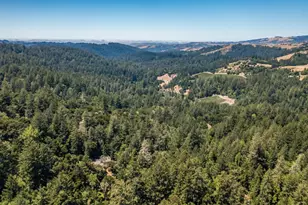 8946 Alpine Rd, La Honda, CA 94020 - Photo 39