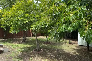 3021 Glendale Ave, Redwood City, CA 94063 - Photo 15