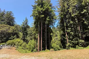 545 Flume Rd, Aptos, CA 95003 - Photo 23