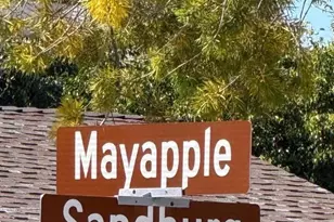 2 Mayapple Way, Irvine, CA 92612 - Photo 3