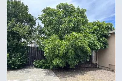 827 Chestnut St, Redwood City, CA 94063 - Photo 15
