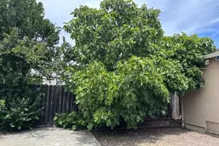 827 Chestnut St, Redwood City, CA 94063 - Photo 15