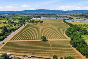 3115 Leavesley Rd, Gilroy, CA 95020 - Photo 15