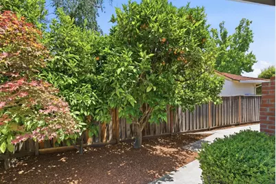 831 Mangrove Ave, Sunnyvale, CA 94086 - Photo 37