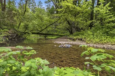 209 E Creek Rd, Felton, CA 95018 - Photo 3