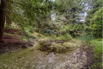 163 Buzzard Lagoon Rd, Watsonville, CA 95076 - Photo 37