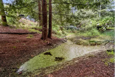 163 Buzzard Lagoon Rd, Watsonville, CA 95076 - Photo 35