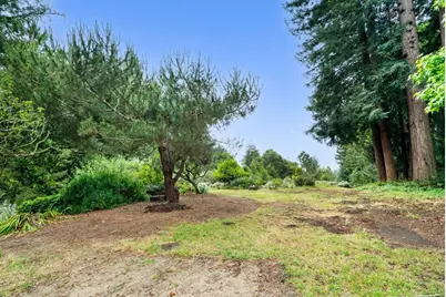 163 Buzzard Lagoon Rd, Watsonville, CA 95076 - Photo 33