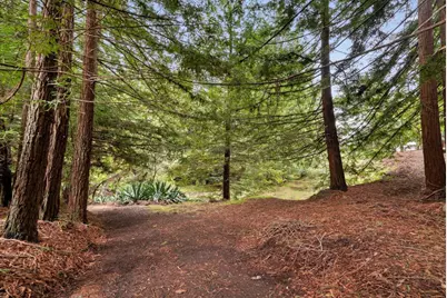 163 Buzzard Lagoon Rd, Watsonville, CA 95076 - Photo 75