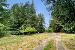 163 Buzzard Lagoon Rd, Watsonville, CA 95076 - Photo 3