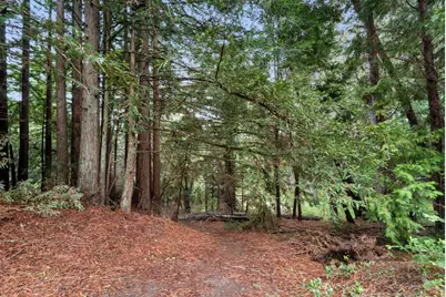 163 Buzzard Lagoon Rd, Watsonville, CA 95076 - Photo 73