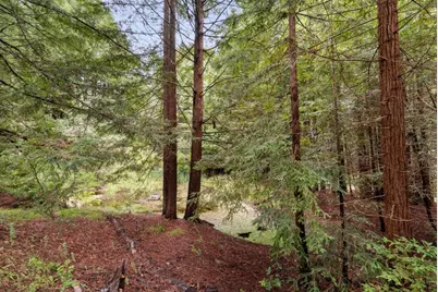 163 Buzzard Lagoon Rd, Watsonville, CA 95076 - Photo 77
