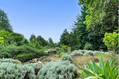 163 Buzzard Lagoon Rd, Watsonville, CA 95076 - Photo 71